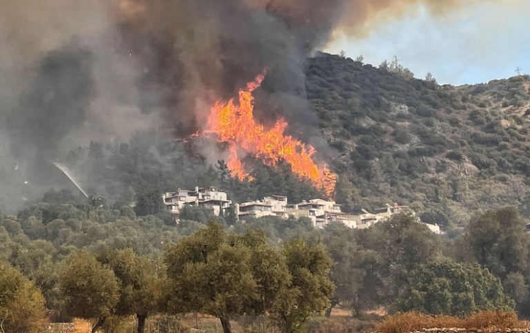 After All the Media Hype, Wildfires Across Southern Europe Were Completely Normal in 2023