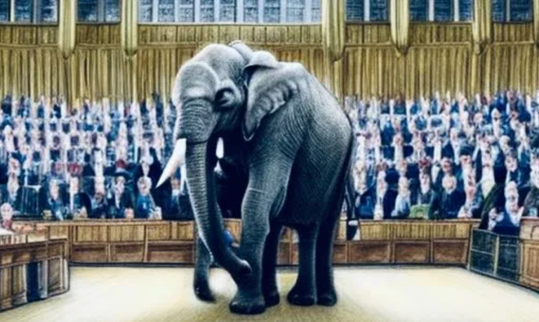 Another Parliamentary Debate on Excess Deaths but Still No Straight Answers