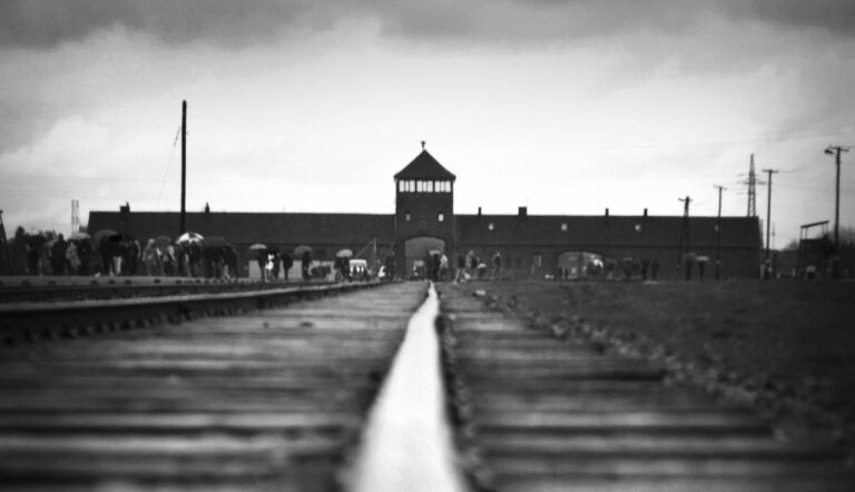 Do One in Five Young Americans Think the Holocaust Was a Myth?