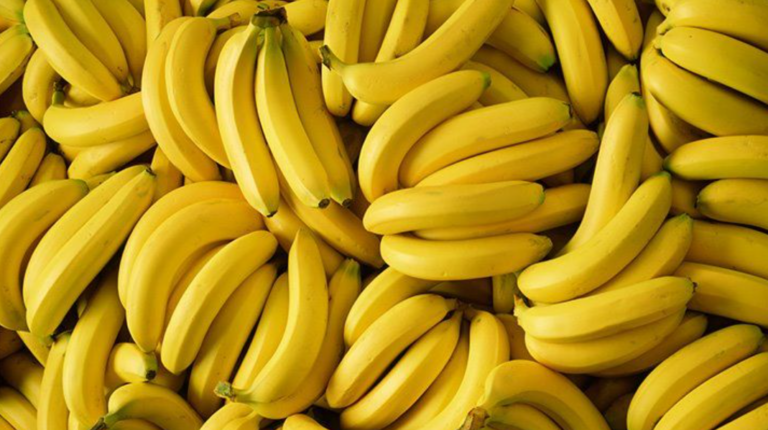 Matt McGrath of the BBC Goes Climate Banana Crazy