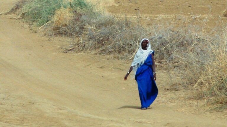 The BBC and Guardian Have Been Raising the Alarm About ‘Deadly’ Heatwaves in Mali and Burkina Faso, Despite Little Rise in Average Temperatures in the Last 85 Years