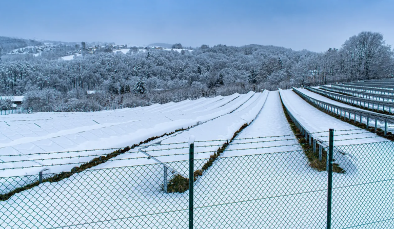 The Astrophysicist Warning About the Coming Little Ice Age: “It’s Already Started”