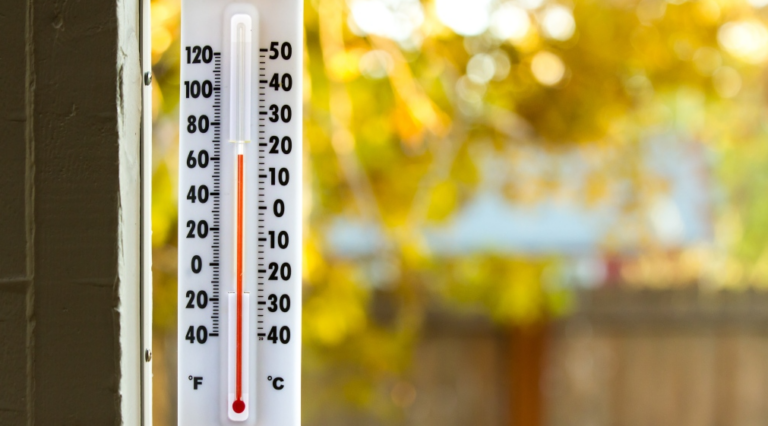 Massive Retrospective Adjustments Made to Temperature Databases Used to Promote Net Zero