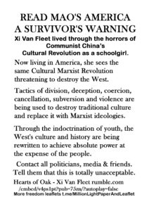 07b-Read-Maos-America-A-Survivors-Warning-MONOCHROME-copy