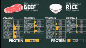 Beef_v_Rice