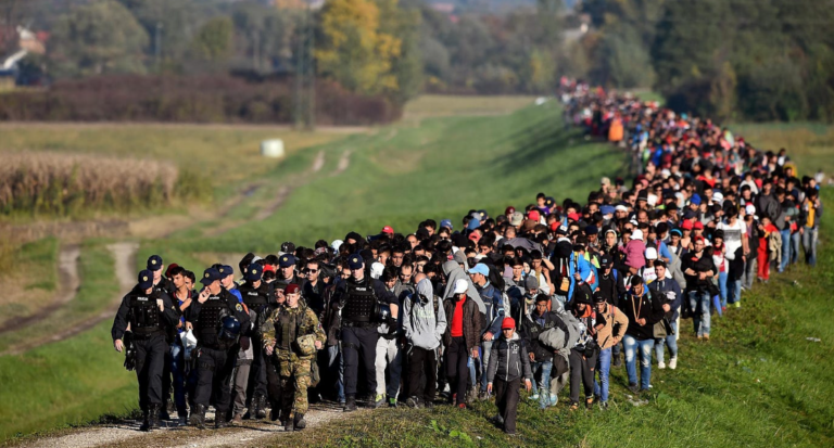 What is Mass Migration For, Why Does it Keep Happening, and Why Will Nobody Stop It?