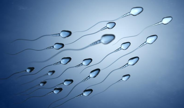 Why Has Sperm Become 30% More ‘Sluggish’ Since 2019?