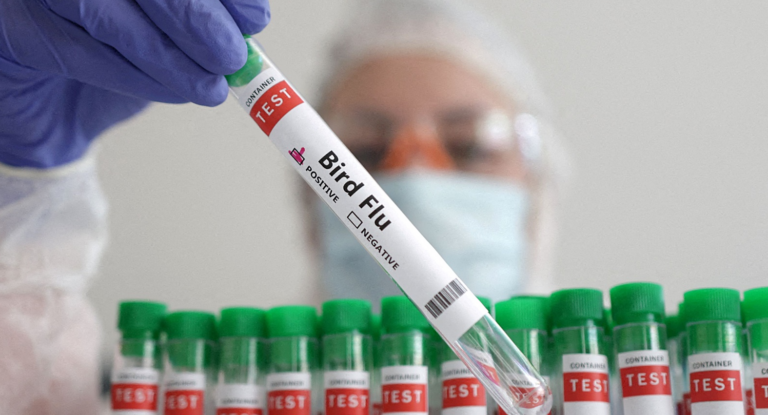 The WHO is Desperate for Another Pandemic