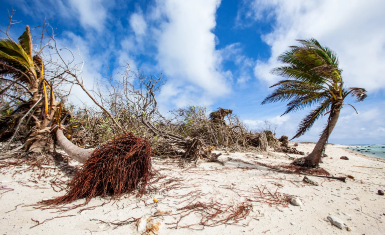 The Great Uprooting and the Problem of Immigration