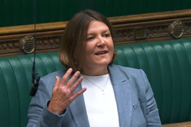Green MP Proposes Sweeping Reforms to House of Commons in Maiden Speech