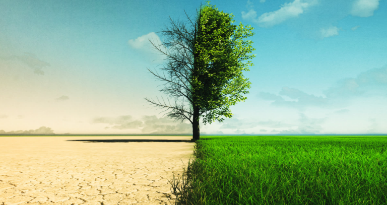 Global Greening Becomes so Obvious That Climate Alarmists Start Arguing We Need to “Save the Deserts”!