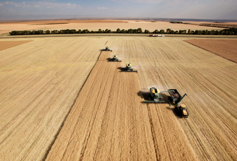 No Farms, No Food