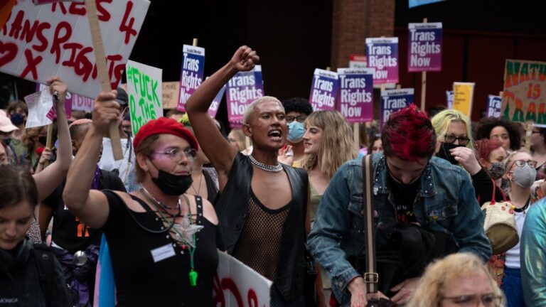 Liberté, Egalité, Bisexualité: the Revolutionary Trans Movement