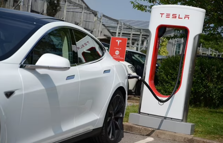 End of the Road for EVs as Sales Slump Around the World