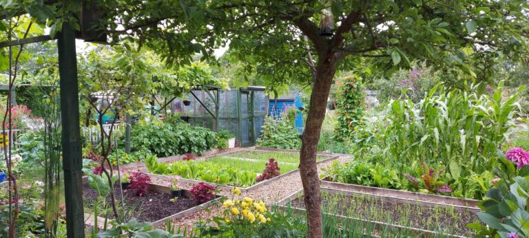 Greens Declare War on Growing Your Own Greens