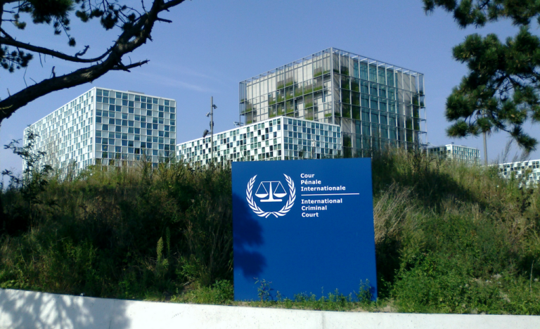 International Law, National Self-Interest or Neither?