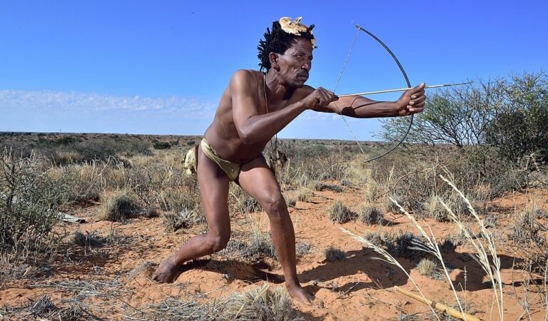 Is ‘Man the Hunter’ a Myth?