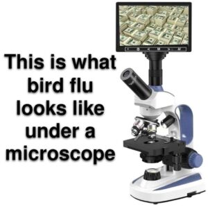 Bird-flu-under-a-microscope