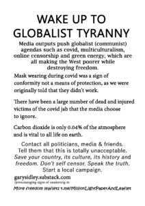 04b-Wake-up-to-Globalist-Tyranny-MONOCHROME-copy