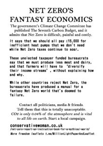 05b-Net-Zeros-Fantasy-Economics-MONOCHROME-copy