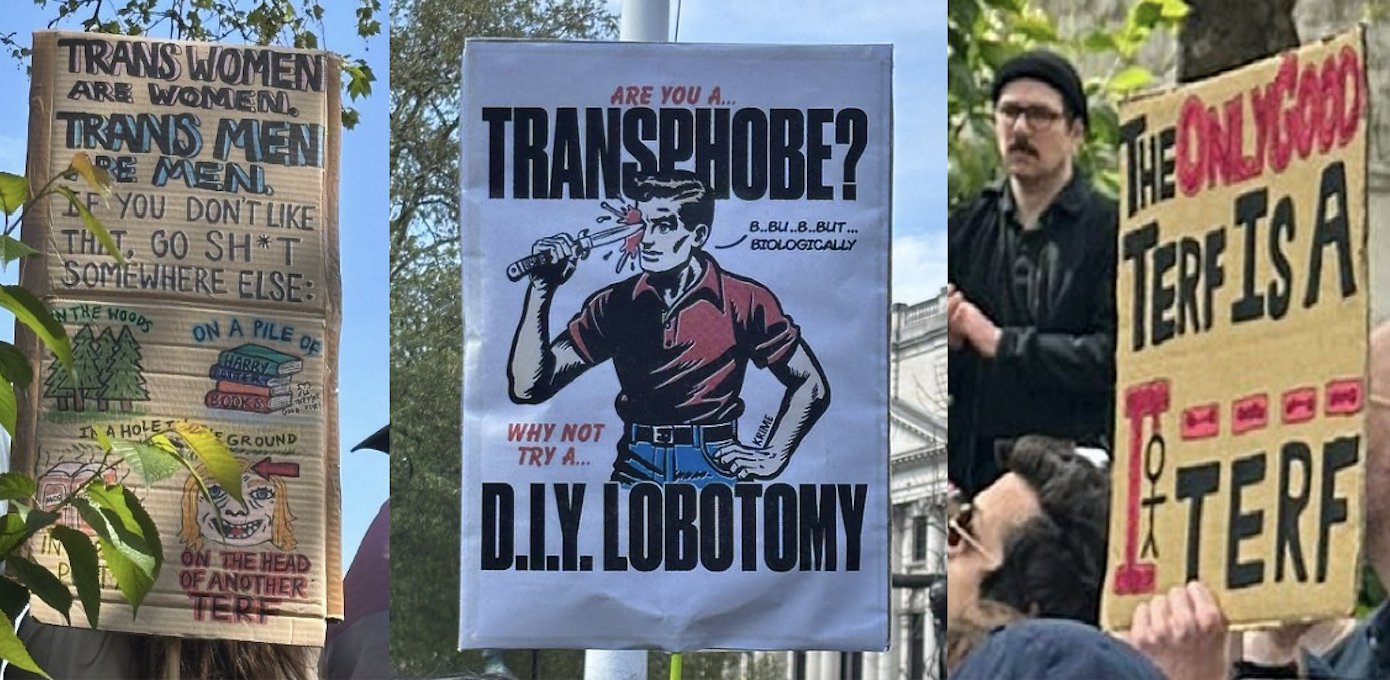 Trans Activists at London Demo Called for TERFs to be Hanged and Defaced Seven Statues, Including Nelson Mandela’s – The Daily Sceptic thumbnail
