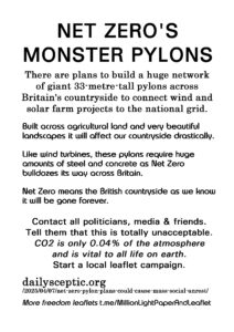05a-Net-Zeros-Monster-Pylons-MONOCHROME-copy