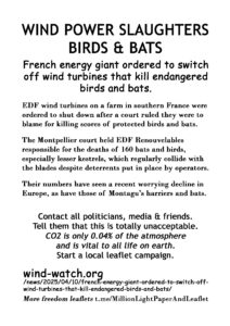 05b-Wind-Power-Slaughters-Birds-Bats-MONOCHROME-copy