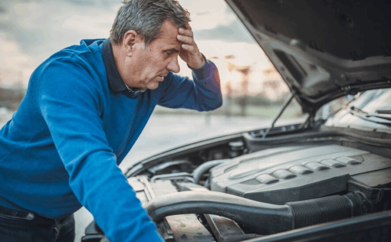 Another Nail in the EV Coffin