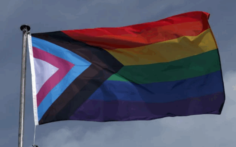 Primary School Children Being “Sexualised” by Lessons on the “300 Flags of Pride”