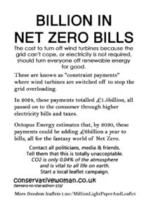 02a-Billions-In-Net-Zero-Bills-MONOCHROME-copy