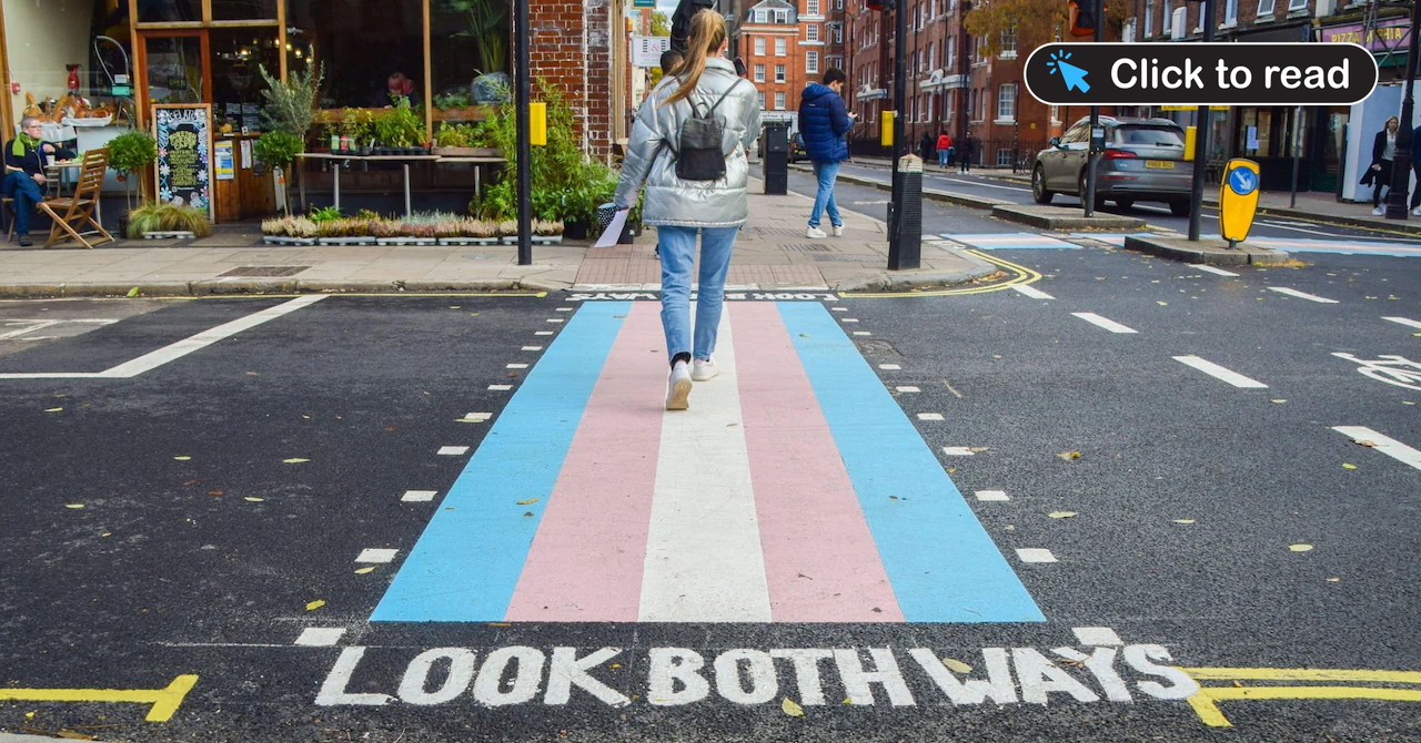 Trans Pedestrian Crossing Prompts Lawsuit Against Labour-Led Council thumbnail