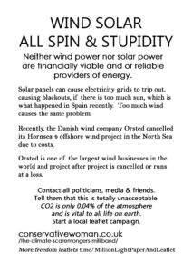 05b-Wind-Solar-All-Spin-Stupidity-MONOCHROME-copy