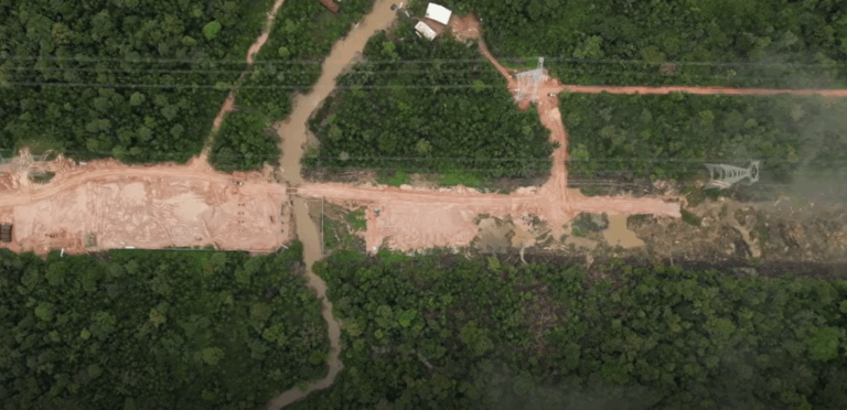 100,000 Amazon Trees Chopped Down to Build Road for COP30 Climate Conference