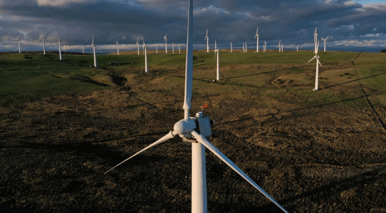 Wind and Solar Farms Set to Take Over Up to 9% of Total UK Land Area