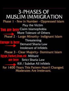 3-phase-of-Muslim-Immigration