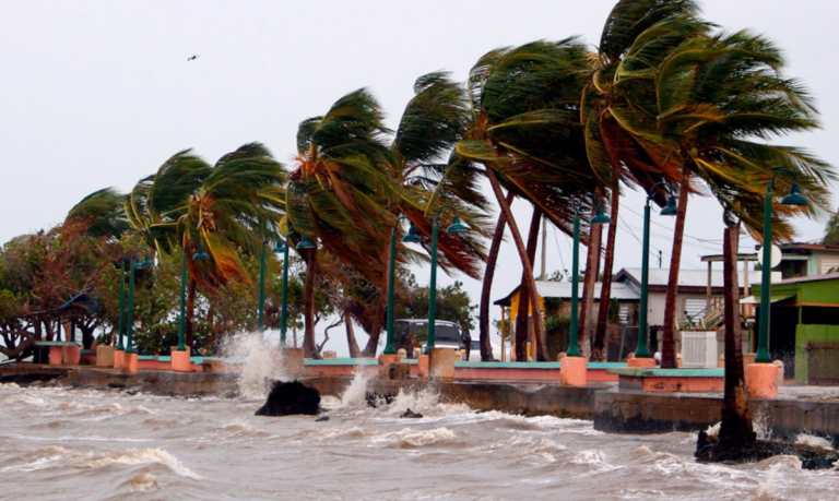 2025 Was an Average Year for Hurricanes Globally