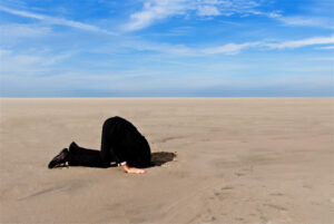 headinsand