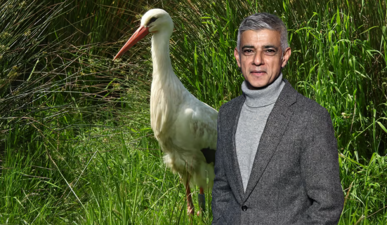 Forget the Bank of England’s Wildlife Banknotes. The Mayor of London’s “Rewilding” Plans Are Even Weirder
