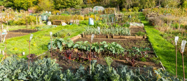 Time to Plan to Be Self-Sufficient