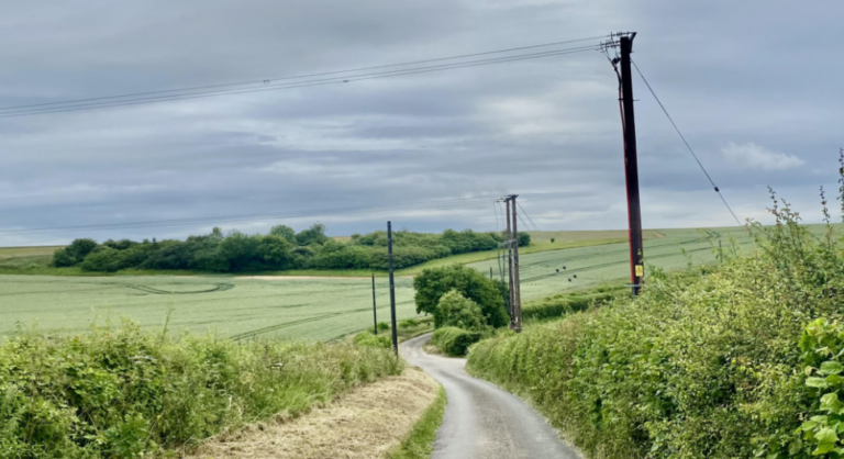 Why is the British State Despoiling the Countryside with Telegraph Poles in 2026?