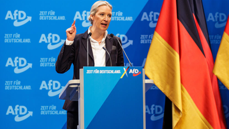 AfD Chief Weidel Raises Spectre of Postal Voting Electoral Fraud in Saxony-Anhalt