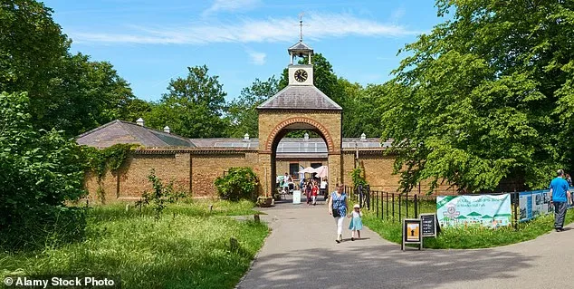 National Trust Plans to Teach Five-Year-Olds About Black Power Salute – During a Baking Workshop
