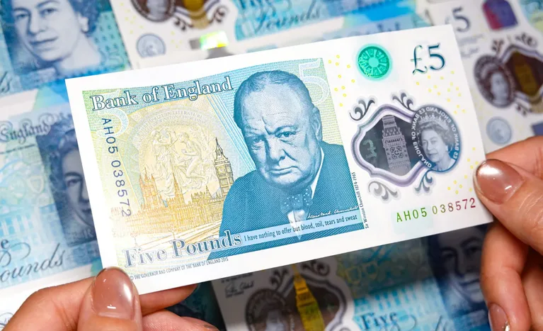 Bees, Puffins and Owls to Replace Churchill on New Banknotes